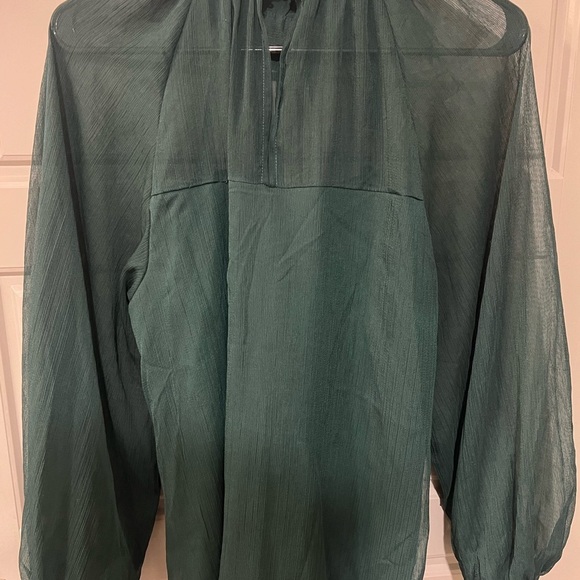 Blu Pepper Green Sheer Women's Top - Picture 3 of 5